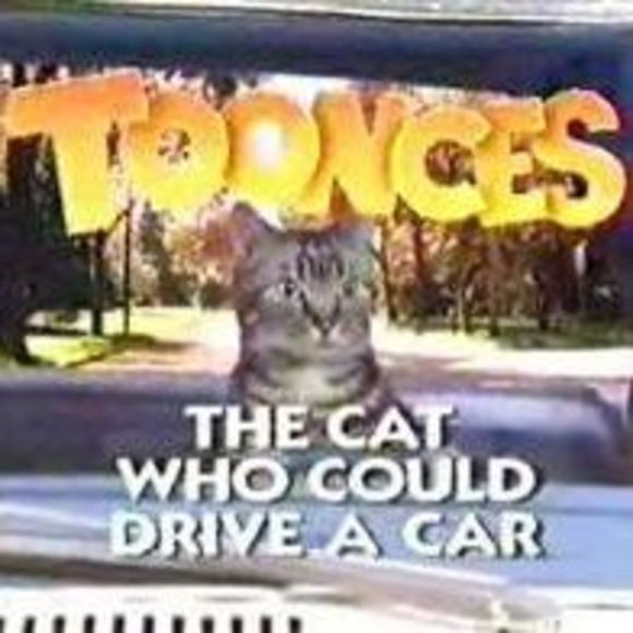 toonces1989